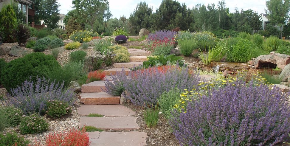 What Is Xeriscape Landscaping?