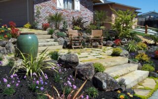 Low Water Landscaping in Colorado