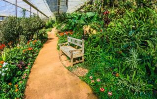 How to Design a Courtyard Garden
