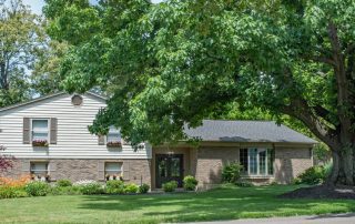 Best Shade Trees and Structures for Colorado Homes