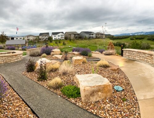 5 Landscaping Must-Haves for Mountain Living in Colorado