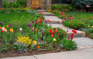 Creating Four-Season Interest: Colorado Landscape Design for Year-Round Beauty