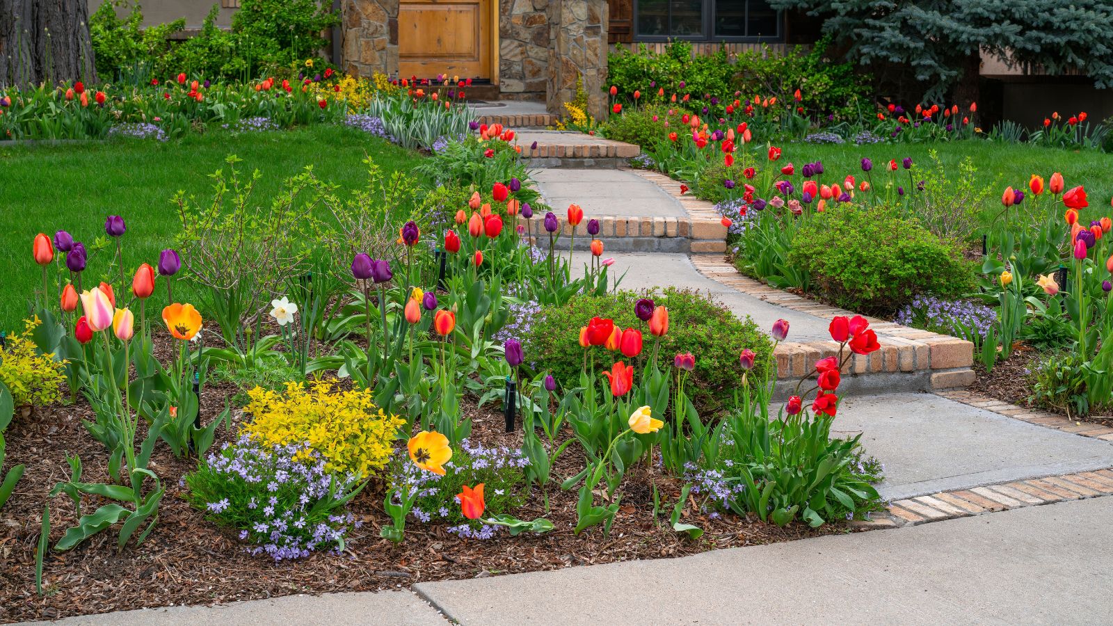 Creating Four-Season Interest: Colorado Landscape Design for Year-Round Beauty