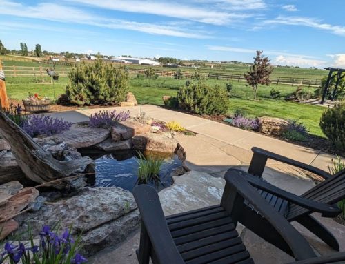 Landscaping Resolutions: Setting Realistic Goals for Your Colorado Property