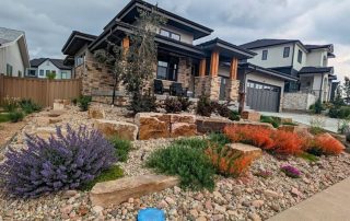 Early March in Colorado: Why Planning Your Landscape NOW Beats Waiting for Summer