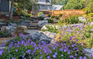 Choosing Between Decks, Patios, and Paths: Which Hardscape Fits a Colorado Home?