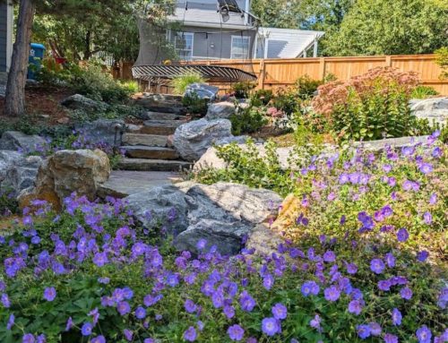 Choosing Between Decks, Patios, and Paths: Which Hardscape Fits a Colorado Home?