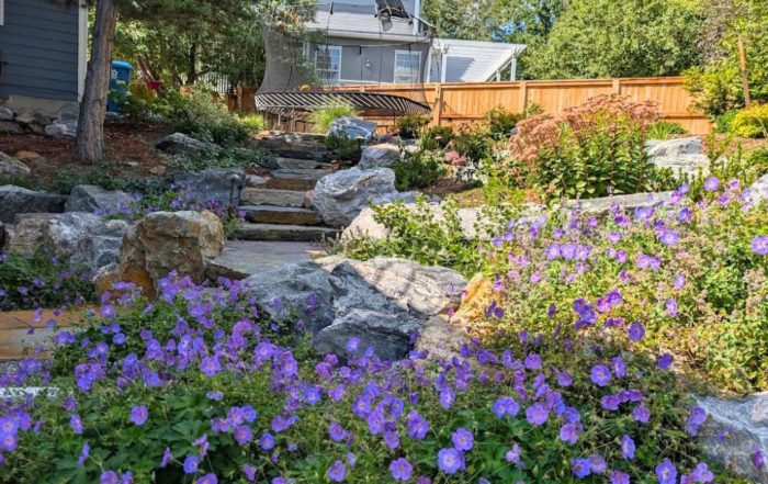 Choosing Between Decks, Patios, and Paths: Which Hardscape Fits a Colorado Home?