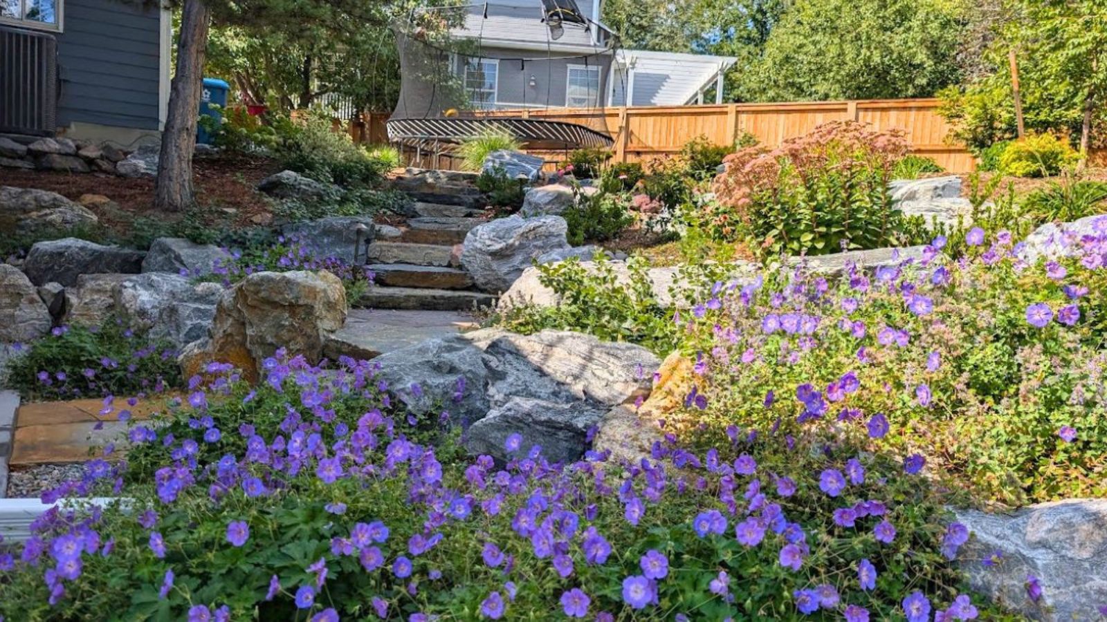 Choosing Between Decks, Patios, and Paths: Which Hardscape Fits a Colorado Home?