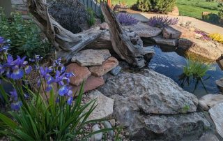 Common Colorado Landscaping Mistakes (and How a Designer Helps You Avoid Them)