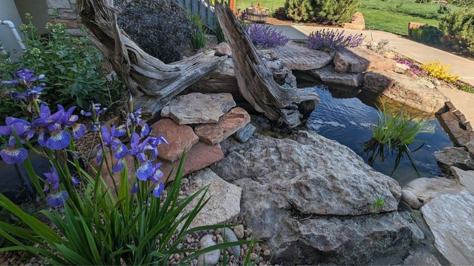 Common Colorado Landscaping Mistakes (and How a Designer Helps You Avoid Them)