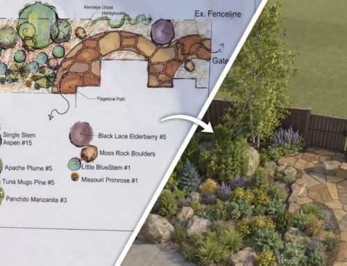 From Blueprint to Backyard: How 3D Landscape Architecture Eliminates Guesswork