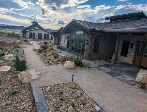 Designing Landscapes That Survive Northern Colorado’s Cold Air Pools