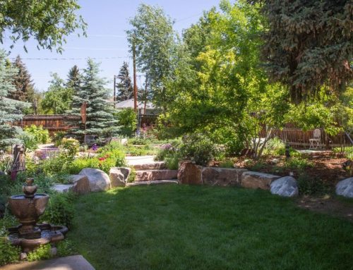 Phased Landscaping: How to Build Your Dream Yard in 3 Budget-Friendly Stages