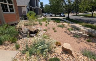 What Is Xeriscaping?