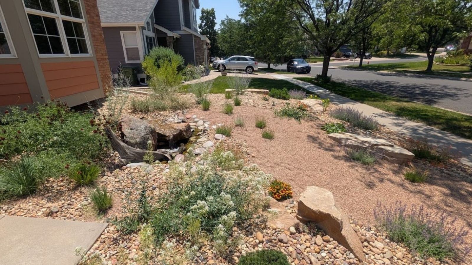 What Is Xeriscaping?