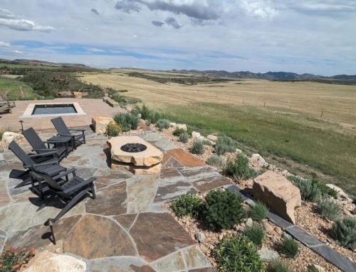 Flame vs. Frost: Gas vs. Wood Fire Pits for -10°F Northern Colorado Nights
